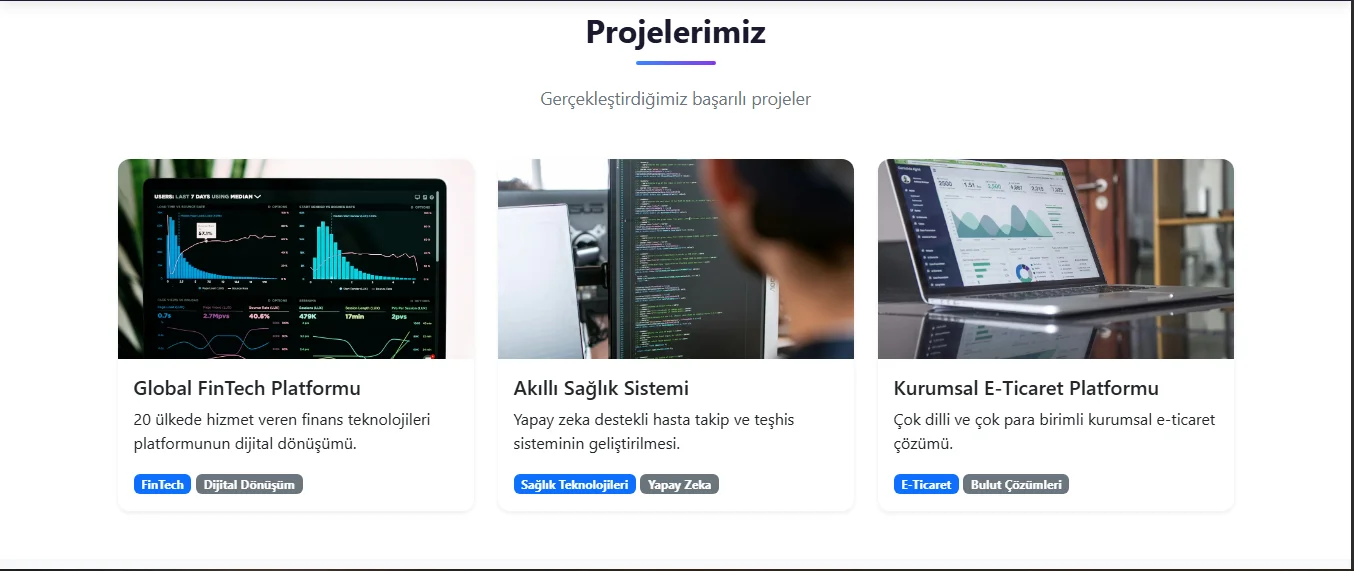 Şirketlere Özel Web Teması - Resim 3