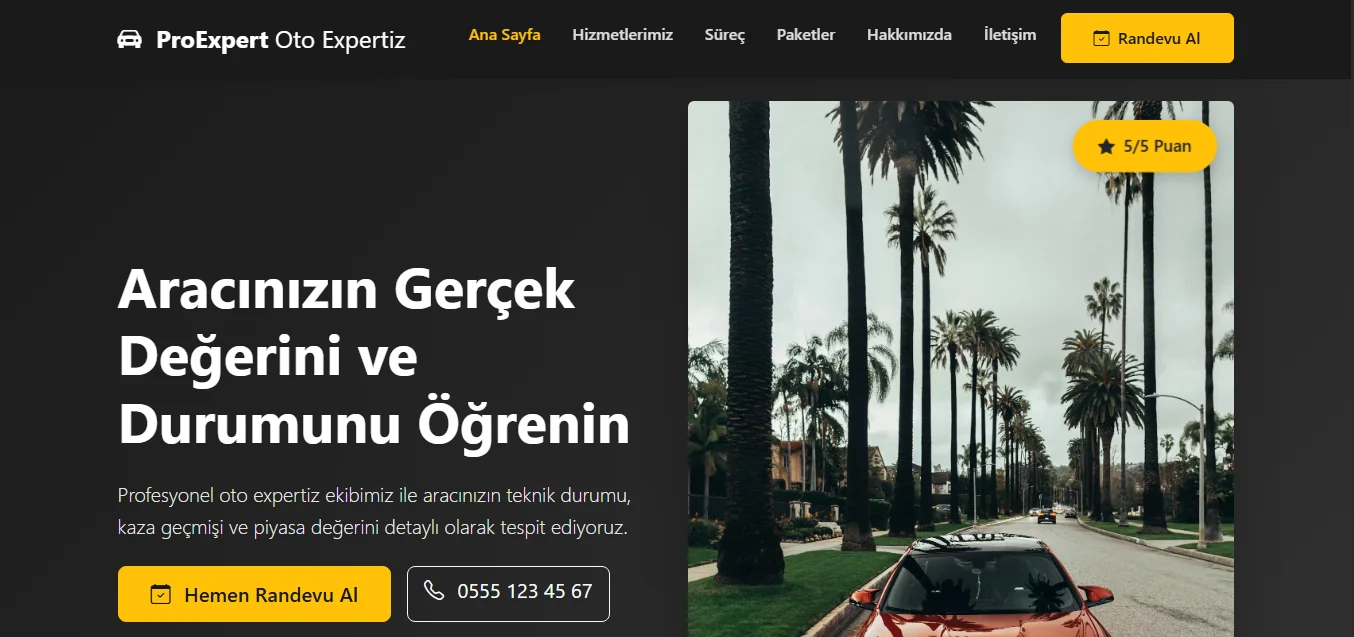 Oto Exper Teması - Resim 1